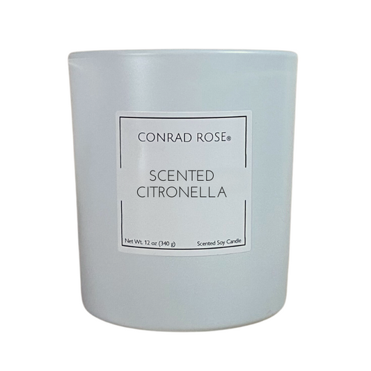 Scented Citronella 2-Wick Candle