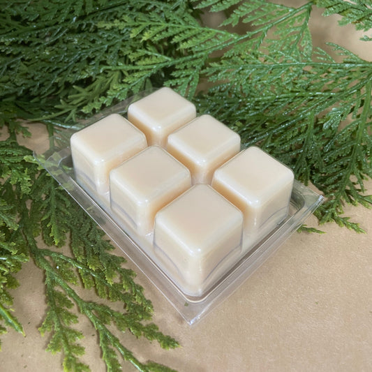 2 Pcs Aromatherapy Melting Dish Pallet Soy Wax Melts for Warmers Candle  Tray Alien Plate 